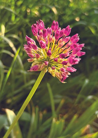 Cards-2025-5x7_Page_34