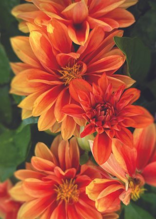 Cards-2025-5x7_Page_42