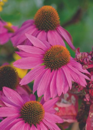 Cards-2025-5x7_Page_22